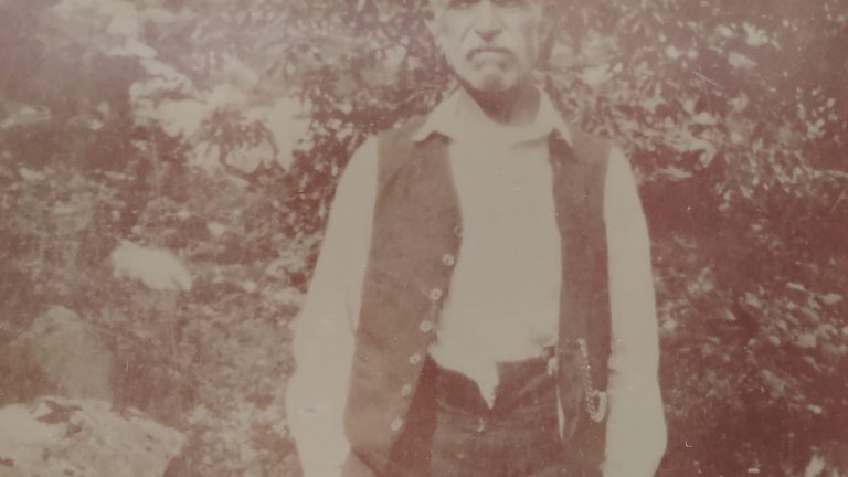 1894