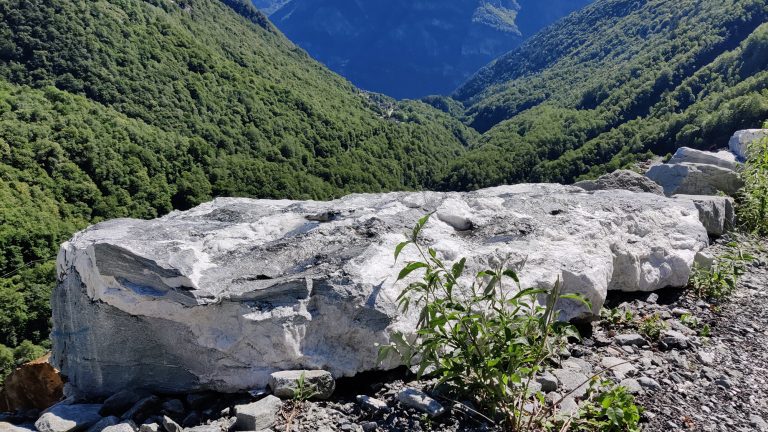 Rocce