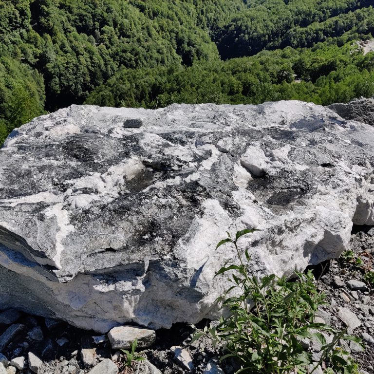 Rocce