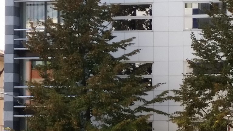 Banca Stato