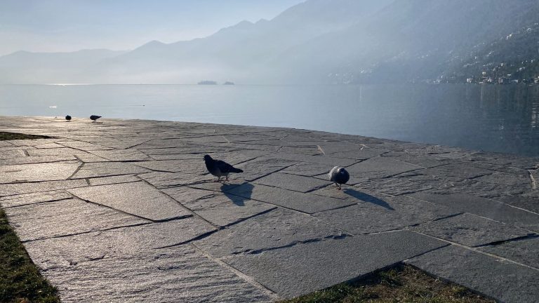 Parco pubblico sul lungolago