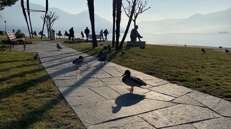Parco pubblico sul lungolago
