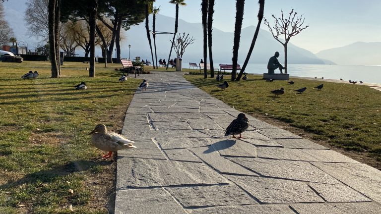 Parco pubblico sul lungolago