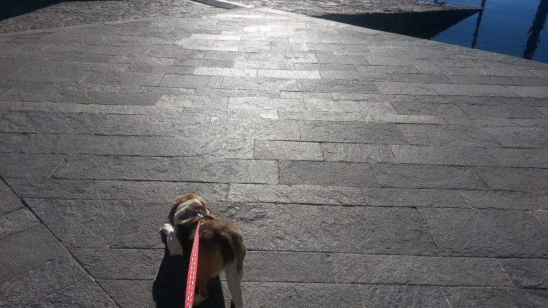 Passeggiata lungolago